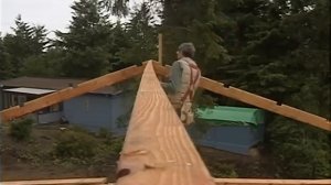 Ларри Хон. Часть 3. Каркас крыши