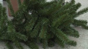 Ещё одну новогоднюю ель установят в Череповце