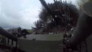 Танчик с 'шевелюрой'