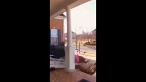 короткие смешные видео