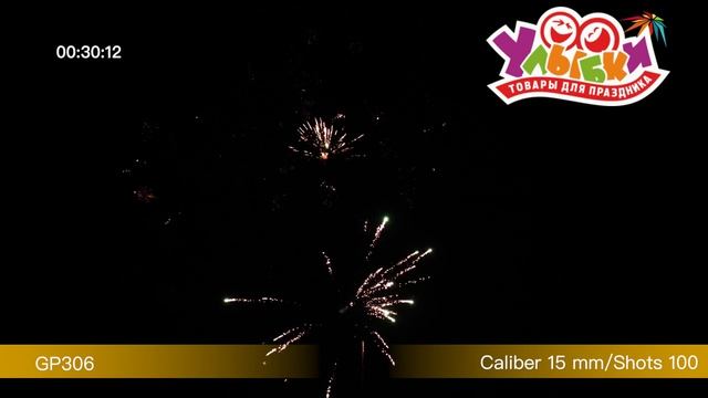 GP306 Speed Background смотреть онлайн