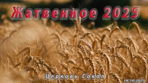 Жатвенное 2025