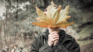 Югорчанам рассказали, как справиться с осенней хандрой