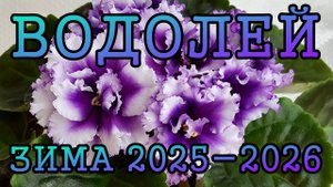 ВОДОЛЕЙ таро прогноз на ЗИМУ 2025-2026 года (декабрь 2025, январь и февраль 2026)