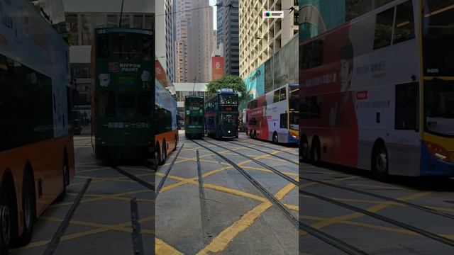 Гонконг.shorts смотреть онлайн