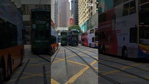 Гонконг.shorts