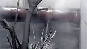 Прорвало трубу в Омске на улице Красный путь 151