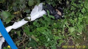 КАК Я УКРЫВАЮ ВИНОГРАД ОСЕНЬЮ