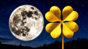 🎉 В чём скоро повезёт? 😁🎉🥳