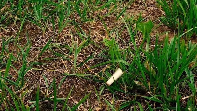 ПОЖАРНАЯ ПРОФИЛАКТИКА (без присмотра электроприборы, использование пиротехники) смотреть онлайн