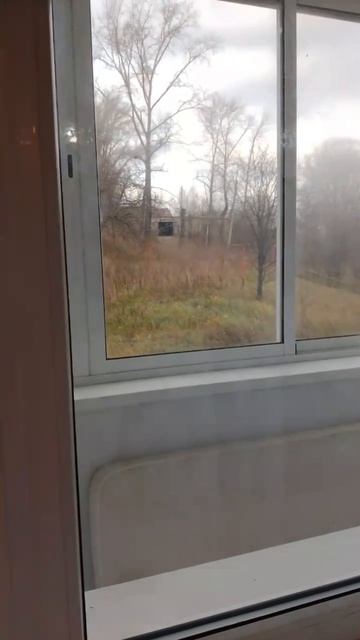 IMG_1232 смотреть онлайн