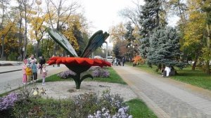 04=11=2025  ник  ПВН  КРАСНОДАР  (71)