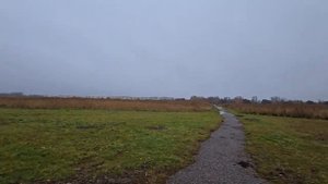 МОЛИТВА ЗА ИЗРАИЛЬ!!! БОЖИЙ КАНАЛ: Игорь Роменский Пророческое служение