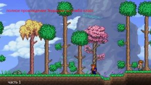 пнолное прохождение террарии без вырезок за комбо класс