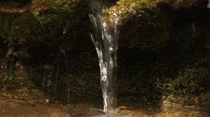 Играет струнами моя душа.