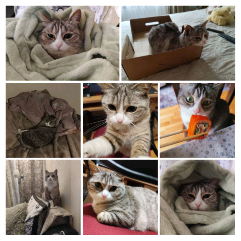 я в школе смотреть онлайн