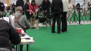 СЩ_Ольвал Дэнис Жордана