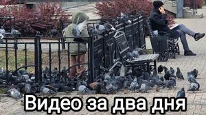 05-11-2025. Видео за два дня