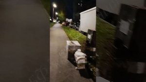 Представляем вам видеоотчёт с погрузки 47-го гуманитарного рейса