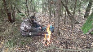 Охота на рябчика с манком. Шестой выход. Отзываются, но не показываются.