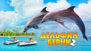 Дельфин Берни 2