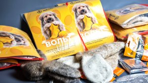 От амбассадора тепла: сургутяне отправили бойцам СВО носки из собачьей шерсти