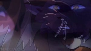 Коты воители МЕМЕ \ ГУБЫ В КРОВЬ\