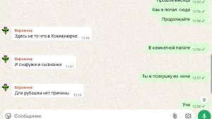 из моего чата