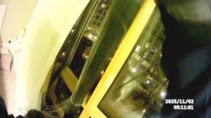 #ЧтоПроизошло02 ноября 2025 г. 🔻Помощь животным