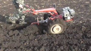 Новый плуг,самодельная сцепка.Пашем нашу землю мотоблоком МТЗ.