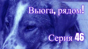 Вьюга, рядом! 46 серия