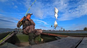 НА ВСЕХ КРЮЧКАХ! ОДИН ДЕНЬ ЖИЗНИ В ДЕРЕВНЕ. РЫБАЛКА, ЯГОДЫ, ФОТОЛОВУШКА. Крупная густера на лесенку.