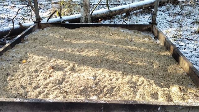 ВЕСТИ С УГОДИЙ -- 11 #вышка,#россомаха,#кормушка,#следы смотреть онлайн