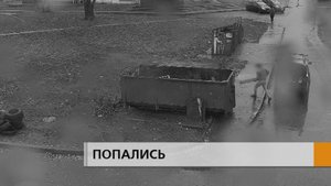 Притащили кучу досок