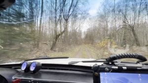 Прихватили по лесу