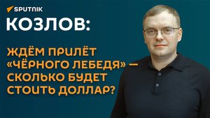 Козлов: ждем прилет «черного лебедя» ― что будет происходить с долларом?