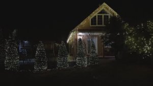 д. Лисицыны