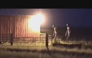 Высокие Серые Инопланетяне На Ферме