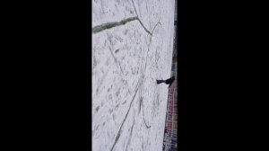 топ 6 трюков на стадионе