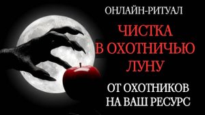 ОТ ОХОТНИКОВ НА ВАШИ РЕСУРСЫ. ЧИСТКА С ОБРАТКОЙ 05.11.2025