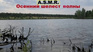 ⚡️Осенний A.S.M.R. на платном Пруду🔥 Хмурый 4К Релакс + Рыбалка + Волны !!! Осень-2025 !!