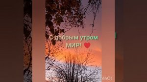 С добрым утром МИР!