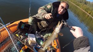 Рязань, р.Ока, троллинг с руки, взяла щука.👍👍👍👍👍👍👍