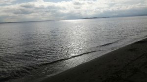 Природа осенью в ноябре 2025 г