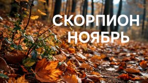 СКОРПИОН. ТАРО ПРОГНОЗ НА НОЯБРЬ