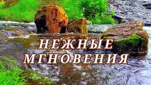 Музыка, которая погрузит вас в атмосферу глубокого спокойствия и уюта.