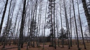 ИЩЕМ МЕСТА ДЛЯ КЕМПИНГА