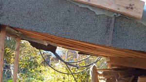 Работы ао дворе. Можжевельники.