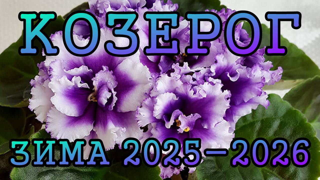 КОЗЕРОГ таро прогноз на ЗИМУ 2025-2026 года (декабрь 2025, январь и февраль 2026)