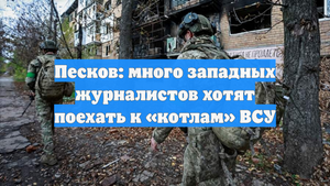 Песков: много западных журналистов хотят поехать к «котлам» ВСУ